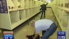 新闻采访爆料搞笑视频,笑料百出！新闻采访爆料搞笑视频幕后花絮大揭秘